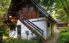 Pristava Lepena Village